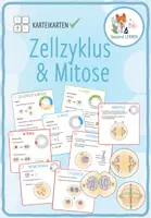 Vorschau - Arbeitsblätter - Zellzyklus und Mitose - Karteikarten - Deckblatt