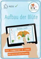 Vorschau - Spiele - Aufbau der Blüte – digitales Puzzle für Computer & iPad - Deckblatt