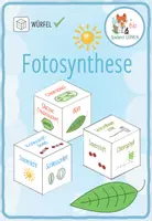 Vorschau - Spiele - Fotosynthese - Reflexionswürfel - Deckblatt