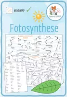 Vorschau - Arbeitsblätter - Fotosynthese - Mindmap - Deckblatt