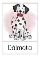 Vorschau - Poster - Spanisch Bildkarten perros (Hunde) - Seite 1