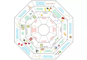 Vorschau - Spiele - Vitamine & Mineralstoffe – Legekreis - Seite 2