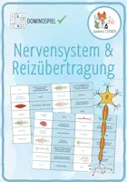 Vorschau - Spiele - Nervensystem und Reizübertragung - Dominospiel - Deckblatt