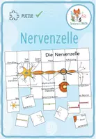 Vorschau - Spiele - Nervenzelle – Puzzle - Deckblatt