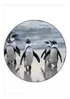 Vorschau - Mal- und Bastelvorlagen - Schulanfang Pinguinklasse Wimpel - Seite 1