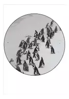 Vorschau - Mal- und Bastelvorlagen - Schulanfang Pinguinklasse Wimpel - Seite 3