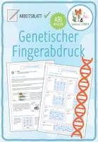 Vorschau - Arbeitsblätter - Genetischer Fingerabdruck - Arbeitsblatt - Deckblatt