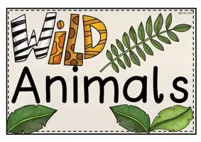 Vorschau - Bildkarten - WILD ANIMALS Flashcards + mini-Flashcards Bildkarten Wortkarten - Seite 2