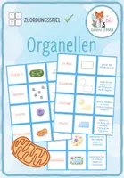 Vorschau - Spiele - Organellen – Zuordnungsaktivität / Paare Finden Spiel - Deckblatt