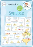 Vorschau - Spiele - Synapsen - Sortieraktivität (Abitur) - Deckblatt