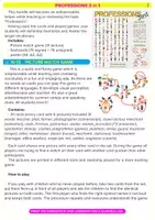Vista previa - Juegos / Gamificación - Professions 3 in 1 - página 1
