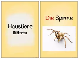 Vorschau - Bildkarten - 13 Bildkarten zum Thema Haustiere - Seite 2
