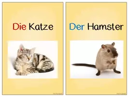 Vorschau - Bildkarten - 13 Bildkarten zum Thema Haustiere - Seite 3