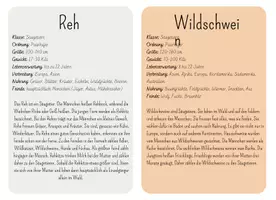 Vorschau - Unterrichtsreihen - Wachsendes Materialpaket zum Thema Wald - Seite 2