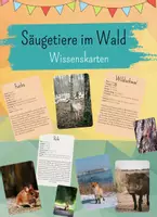 Vorschau - Unterrichtsreihen - Wissenskarten heimische Waldtiere (Säugetiere) - Deckblatt