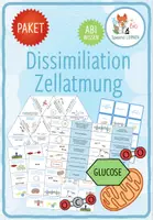 Vorschau - Arbeitsblätter - Dissimilation / Zellatmung & Gärung - 12x Spiele und Aktivitäten (Abitur) - Deckblatt