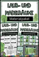 Vorschau - Arbeitsblätter - Laub- und Nadelbäume - Materialpaket (Wissenskartei und Forschungsheft) - Deckblatt