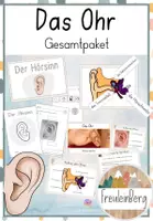Vorschau - Arbeitsblätter - Das Ohr - Der Hörsinn - Gesamtpaket - Deckblatt