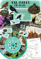 Vorschau - Arbeitsblätter - Amsel - XXL Material-Paket - Deckblatt