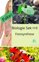 Vorschau - Stundenentwürfe - Materialpaket Fotosynthese - Deckblatt
