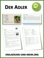 Vorschau - Arbeitsblätter - Der Adler (Materialpaket) - Deckblatt
