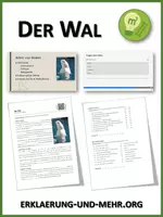 Vorschau - Arbeitsblätter - Der Wal (Materialpaket) - Deckblatt