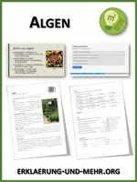 Vorschau - Arbeitsblätter - Algen (Materialpaket) - Deckblatt