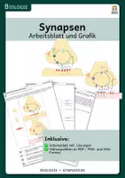 Vorschau - Arbeitsblätter - Synapsen - Arbeitsblatt und Grafiken - Deckblatt