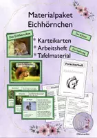 Vorschau - Arbeitsblätter - Materialpaket Eichhörnchen - Deckblatt