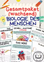 Vorschau - Arbeitsblätter - Materialpaket - Der Mensch - Stefan Welles - Deckblatt