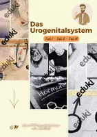 Vorschau - Stundenentwürfe - Unterrichtsreihe: Urogenitalsystem inkl. 4 Auftragsoptionen - Deckblatt