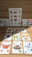Προεπισκόπηση - Flashcards - Πακέτο Σετ 40 καρτών "Άνοιξη" και αφίσας "τα έντομα" - Εξώφυλλο