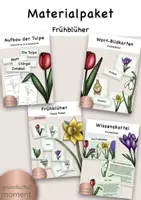 Vorschau - Arbeitsblätter - Wachsendes Materialpaket / Frühblüher - Deckblatt