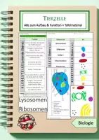 Vorschau - Arbeitsblätter - Materialpaket: Aufbau der tierischen Zelle - Deckblatt