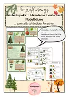 Vorschau - Stationenlernen - XXL Materialpaket: Heimische Laub- und Nadelbäume - Deckblatt