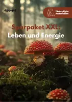 Vorschau - Unterrichtsreihen - Sparpaket XXL: Leben und Energie | Stoffwechselwege - Deckblatt