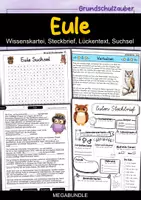Vorschau - Arbeitsblätter - Eule MEGABUNDLE - Wissenskartei, Lückentext, Steckbrief, Suchsel - Deckblatt