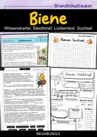 Vorschau - Arbeitsblätter - Biene MEGABUNDLE - Wissenskartei, Lückentext, Steckbrief, Suchsel - Deckblatt