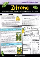 Vorschau - Arbeitsblätter - Zitrone MEGABUNDLE - Wissenskartei, Lückentext, Steckbrief, Suchsel - Deckblatt
