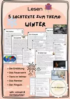 Vorschau - Fördermaterial/Inklusion - Materialpaket: Differenzierte Lesetexte zum Thema Winter - Deckblatt
