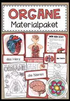 Vorschau - Stundenentwürfe - DIE ORGANE - Materialpaket - Deckblatt