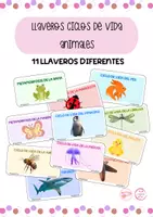 Vista previa - Tarjetas / Manipulativos - PACK DE LLAVEROS SOBRE EL CICLO DE LA VIDA - Material colaborativo - Portada