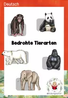 Vorschau - Anderer Materialtyp - Materialpaket: Bedrohte Tierarten - Sachtexte + Aufgaben - Deckblatt