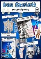 Vorschau - Arbeitsblätter - Das Skelett Bundle - Deckblatt