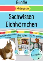 Vorschau - Arbeitsblätter - Materialpaket: Sachwissen Eichhörnchen (Kindergarten) - Deckblatt