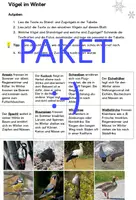 Vorschau - Stationenlernen - PAKET Vögel im Winter - Erarbeitung, Plakatvorlage, Legematerial - Deckblatt