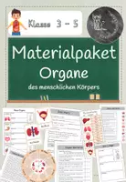 Vorschau - Stationenlernen - Materialpaket: Organe - Deckblatt
