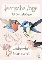 Vorschau - Mal- und Bastelvorlagen - Materialpaket Heimische Vögel - 3D Bastelbögen - Deckblatt