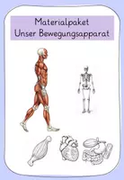 Vorschau - Arbeitsblätter - Materialpaket_Unser Bewegungsapparat - Deckblatt