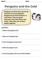 Aperçu - Feuilles d'exercices - Kit pédagogique Reading Comprehension Bundle | VIPERS - Page de couverture